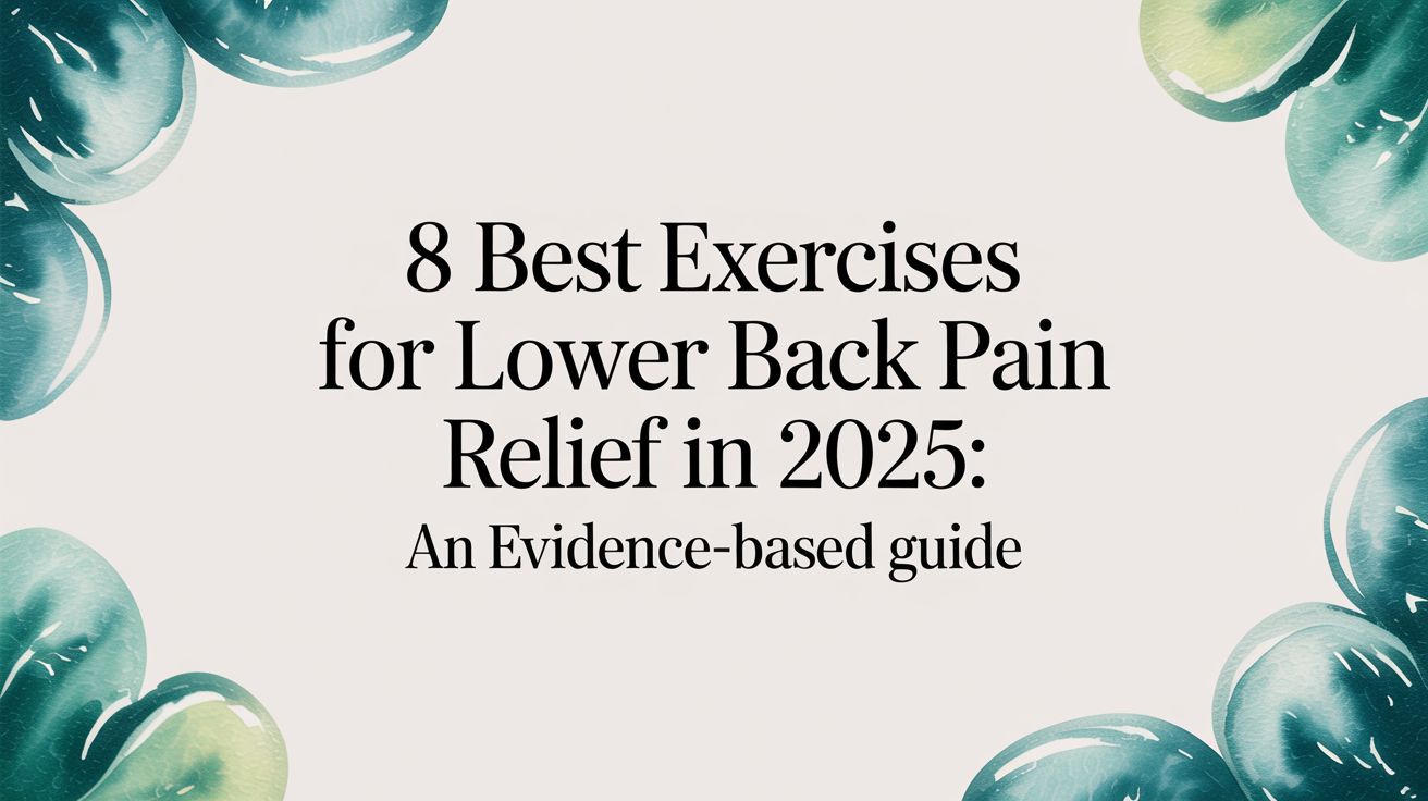 best-exercises-for-lower-back-pain-relief-title-card.jpg